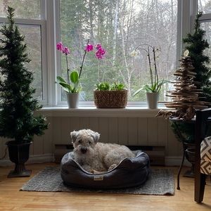 Meet your Posher, Susan